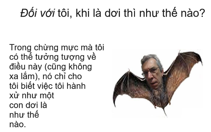 Là dơi